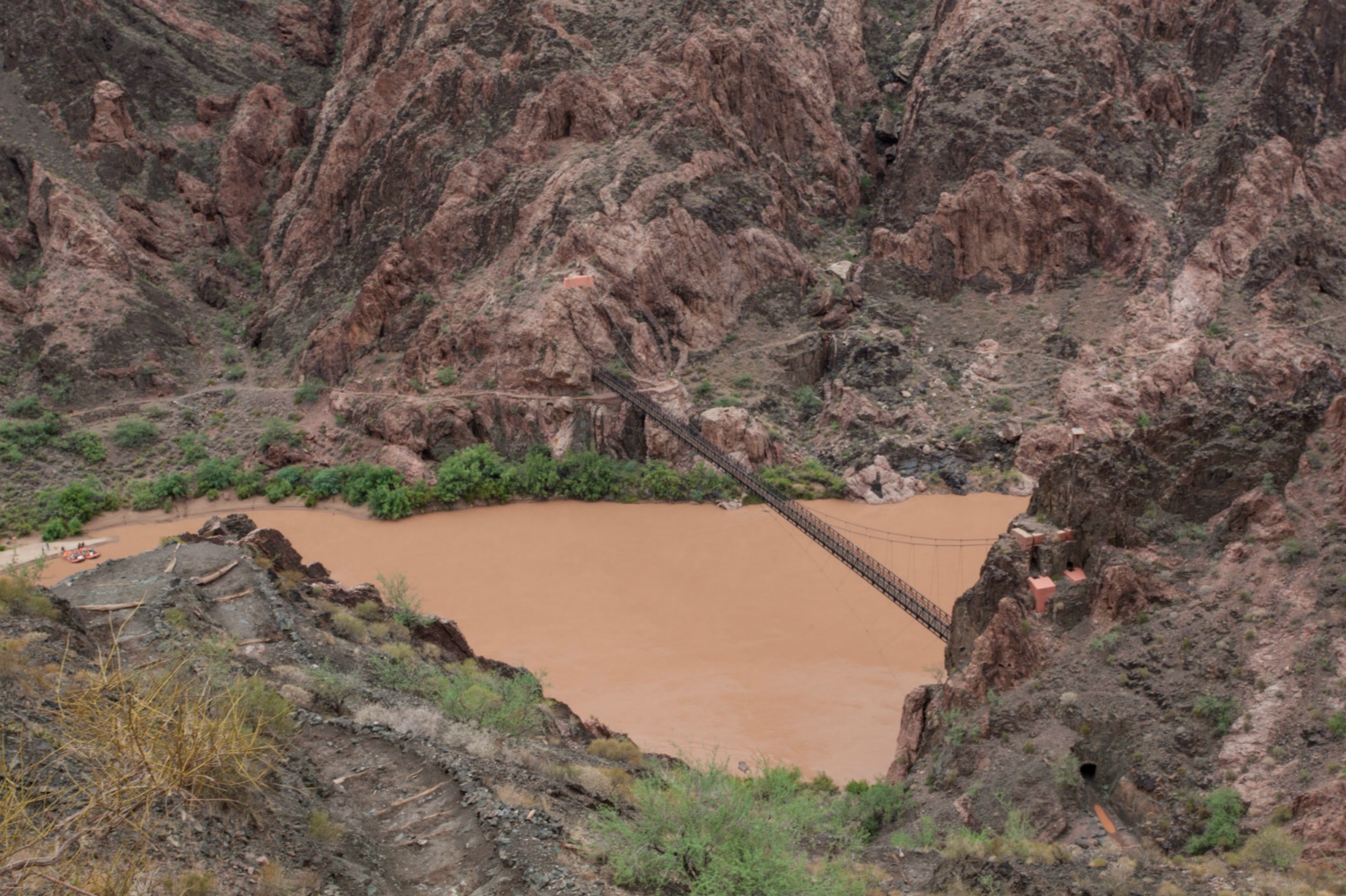USA_Grand Canyon_131